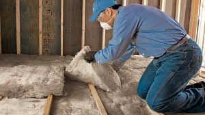 Types of Insulation We Offer in Victoria, TX